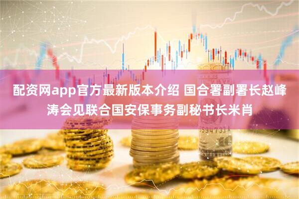 配资网app官方最新版本介绍 国合署副署长赵峰涛会见联合国安保事务副秘书长米肖