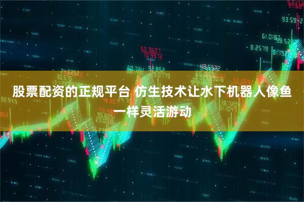 股票配资的正规平台 仿生技术让水下机器人像鱼一样灵活游动