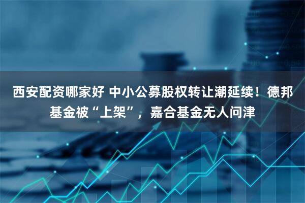 西安配资哪家好 中小公募股权转让潮延续！德邦基金被“上架”，嘉合基金无人问津
